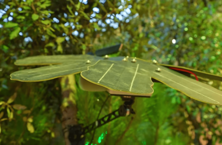 Vodafone Green Tech este inca un mod interesant prin care tehnologia sprijina ecologia